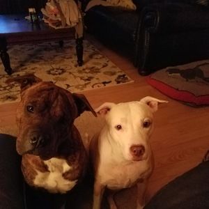 Meet your Posher, Linda